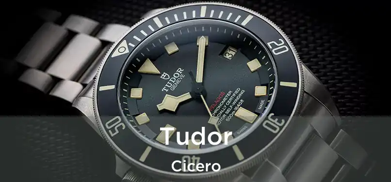 Tudor Cicero