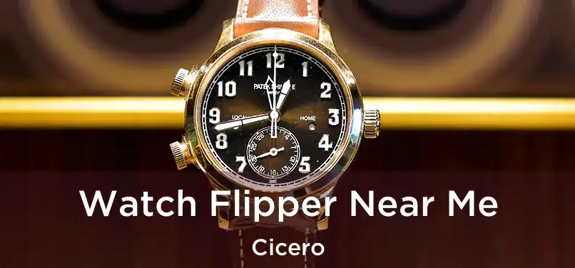 Watch Flipper Near Me Cicero